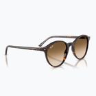Slnečné okuliare Ray-Ban Bernard havana/brown gradient