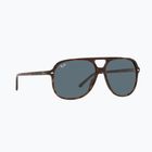 Slnečné okuliare Ray-Ban Bill havana/blue