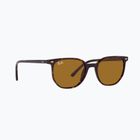 Slnečné okuliare Ray-Ban Elliot havana brown/black polarized