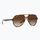 Slnečné okuliare Ray-Ban RB4376 havana/brown gradient