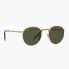 Slnečné okuliare Ray-Ban New Round gold/green