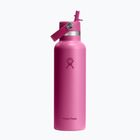 Termofľaša Hydro Flask Standard Flex Straw 620 ml reef