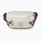 Ľadvinka Osprey Transporter Waist Pack 3 l mystery white/moody burgundy