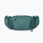 Cyklistická ľadvinka Osprey Savu 5 l cascade blue
