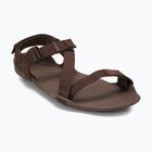 Pánske barefoot sandále Xero Shoes Z-Trek brown