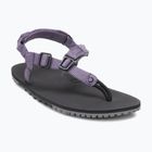Dámske barefoot sandále Xero Shoes H-Trail HTW-SGPU sage purple