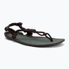 Pánske barefoot sandále Xero Shoes Aqua Cloud java/brown/dark/forest