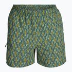 Pánske trekingové nohavice Royal Robbins All-In algae flash pt