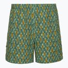 Pánske trekingové nohavice Royal Robbins All-In algae flash pt