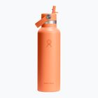 Termos Hydro Flask Standard Flex Straw 620 ml nektar