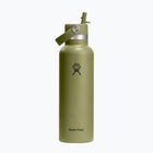 Termofľaša Hydro Flask Standard Flex 621 ml palmer green