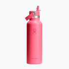 Termofľaša Hydro Flask Standard Flex 621 ml popstar pink