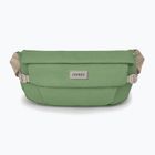 Ľadvinka Osprey Arcane Hip 2 l botanica