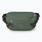 Ľadvinka Osprey Transporter Waist Pack 3 l pine leaf