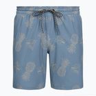 Pánske plavecké šortky Hurley Pineapple Volley Swim Short Blue/Brown