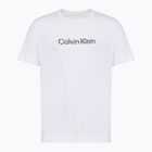 Pánske tričko Calvin Klein LVGMS5K183 Graphic classic white