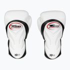 Boxerské rukavice Twins Special BGVL6 black/white