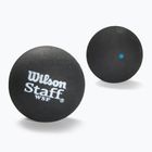 Wilson Staff Ball Blue Dot squashové loptičky 12 ks čierne.