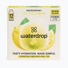 Rehydratačný nápoj Waterdrop Microdrink Ice Tea 12 kociek citrón
