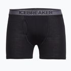 Pánske termo boxerky Icebreaker Anatomica wFly black