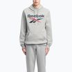 Pánska mikina Reebok Identity Big Logo Fleece Hoodie medium grey heater/vector navy/vector red