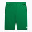 Pánske futbalové šortky Nike Dry-Fit Park III green BV6855-302