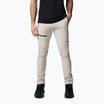 Pánske trekingové nohavice Columbia Titan Pass Pant II dark stone