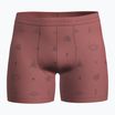 Termoaktívne boxerky  icebreaker Merino150 Anatomica Boxers Explore More plume/aop