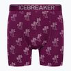 Pánske termo boxerky Icebreaker Anatomica Go Berry 103029