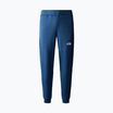 Pánske nohavice The North Face Ma Fleece shady blue/summit navy