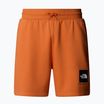 Pánske trekingové šortky The North Face Box Nse Regular iron bronze/tnf bronze
