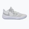 Topánky Nike Zoom Hyperspeed Court SE smmit white/metalic silver/pure platinum
