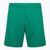 Detské futbalové šortky Capelli Sport Cs One Adult Match green/white