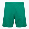 Pánske futbalové šortky Capelli Sport Cs One Adult Match green/white