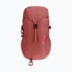 Turistický batoh detský Deuter Climber 22 l redwood/hibiscus