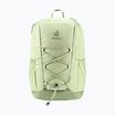 Batoh Deuter Gogo 25 l mineral/grove
