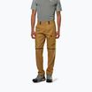 Pánske trekové nohavice Salewa Puez Hemp/Dst 2/1 golden brown