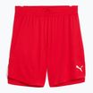 Pánske basketbalové šortky PUMA teamJAWS Starter for all time red