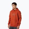 Pánska trekingová mikina Helly Hansen Nord Graphic Pull Over Hoodie červená 62975_308