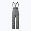 Pánske lyžiarske nohavice SCOTT Ultimate Dryo Ripstop shadow grey
