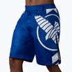 Hayabusa Icon Fight modro-biele tréningové šortky