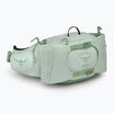 Ľadvinka Osprey Tempest 6 l frosty mint/green botanica