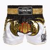 Tréningové šortky Top King Kickboxing multicolor