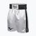 Pánske tréningové šortky Everlast Trunks Pro white/black