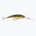 Rapala Deep Tail Dancer Flash Perch Wobbler RA5835022