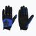 Pánske cyklistické rukavice Fox Racing Dirtpaw blue
