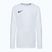 Detské futbalové tričko s dlhým rukávom Nike Dri-Fit Park VII white/black