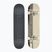Klasický skateboard  Globe G0 Strype Hard black/off-white