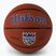 Wilson NBA Team Alliance Sacramento Kings basketbalová hnedá WTB3100XBSAC veľkosť 7