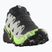 Pánske bežecké topánky Salomon Speedcross 6 GTX black/alloy/green gecko